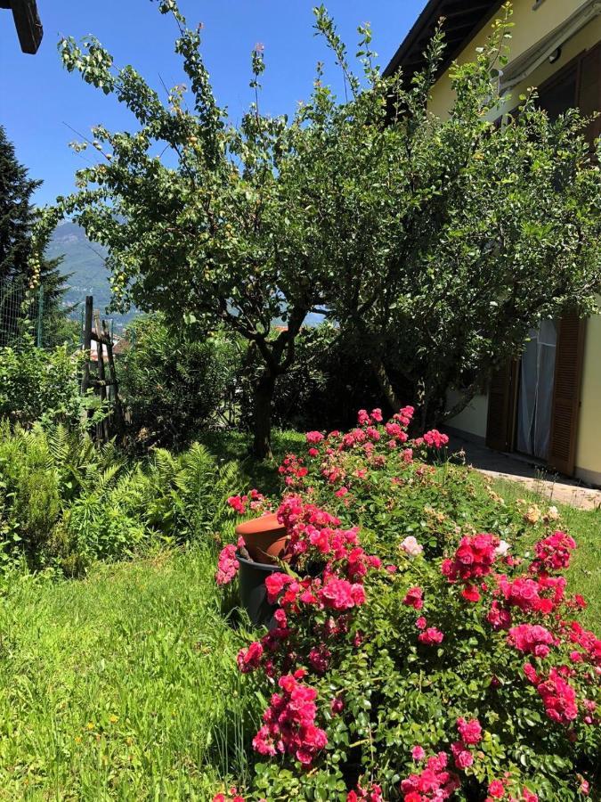 The Children Smile- With Private Garden Διαμέρισμα Colico Εξωτερικό φωτογραφία